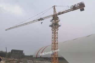 山東二手塔吊供應圖片信息 山東二手塔吊出售圖片信息 二手塔吊供求圖片欄目